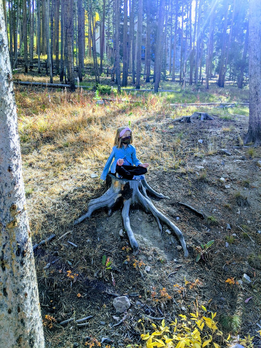 MsCiaraSummit's tweet photo. Kindergarten is using nature to collect groups of 5 and learning how to add one more! Plus a little unprompted meditation! #BreckEl #ssdedu @BREKindergarten https://t.co/ctbHjIpbAk