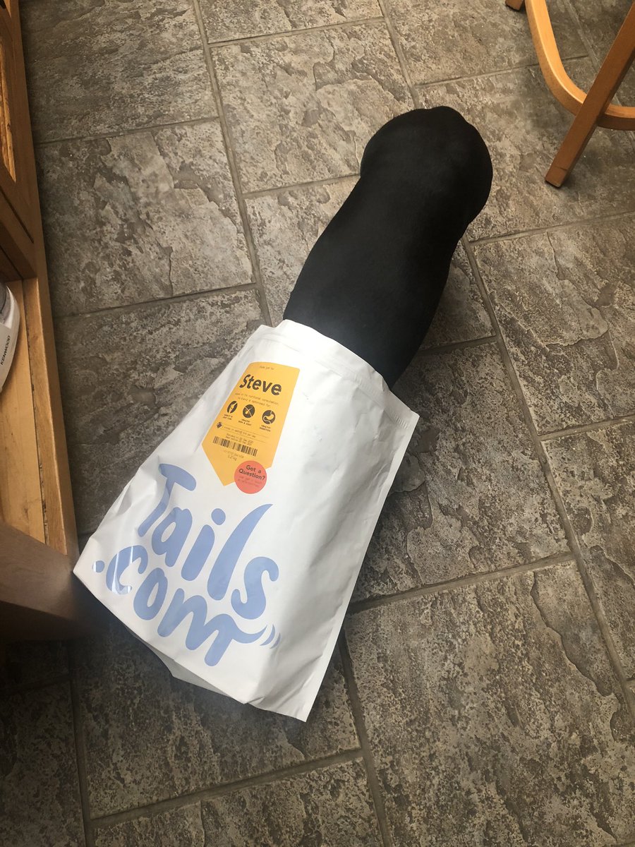 koocybba's tweet photo. @tailsdogfood Someone was very happy for their delivery today 🐶💖 https://t.co/GJHGQC9YUJ