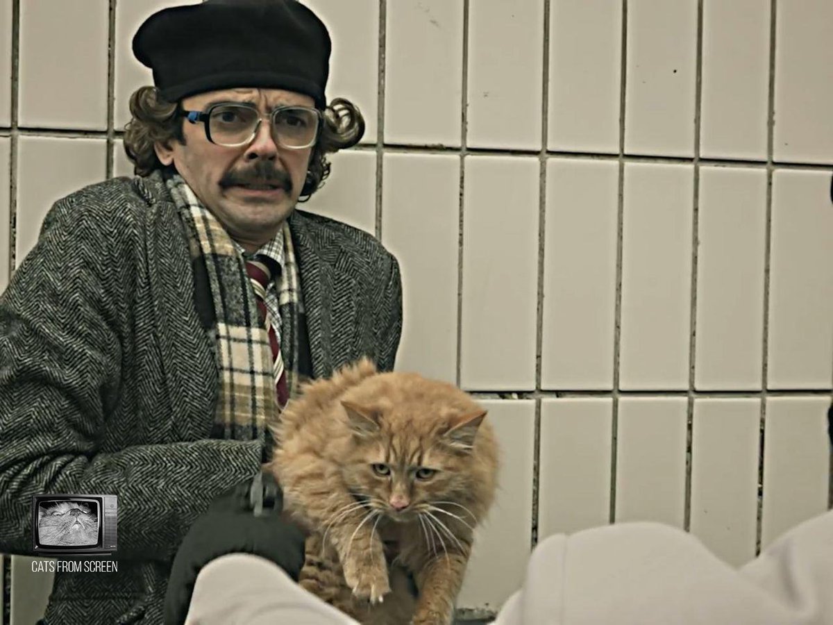 CatsScreen's tweet photo. Ginger cutie from web series Inside Lapenko (2019).

Creator's channel link: https://t.co/EaRbnSHCdu

#catsfromscreen #внутрилапенко #пушистики #insidelapenko #кино #котики #кошки #лапенко #cat https://t.co/vPsjeo4UN1