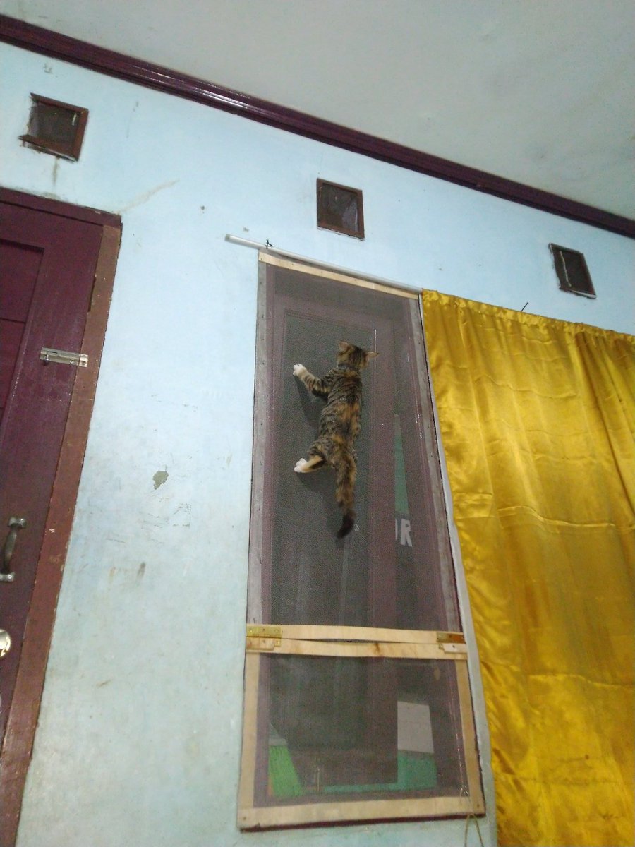 DoLuthfi's tweet image. #malamjumat usaha jomblo buat ngintip yg lagi apalah...