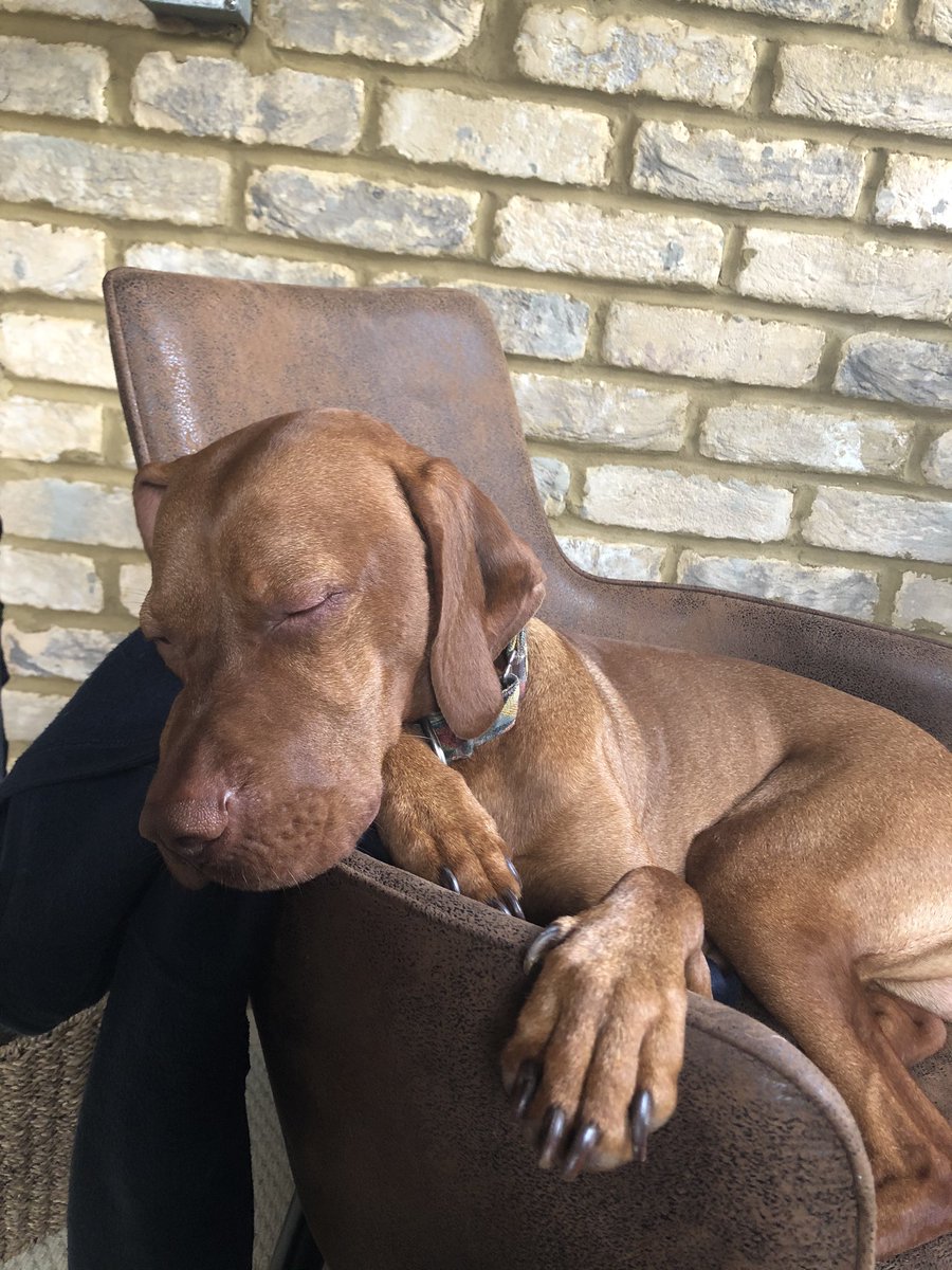 louise goswell tweet media