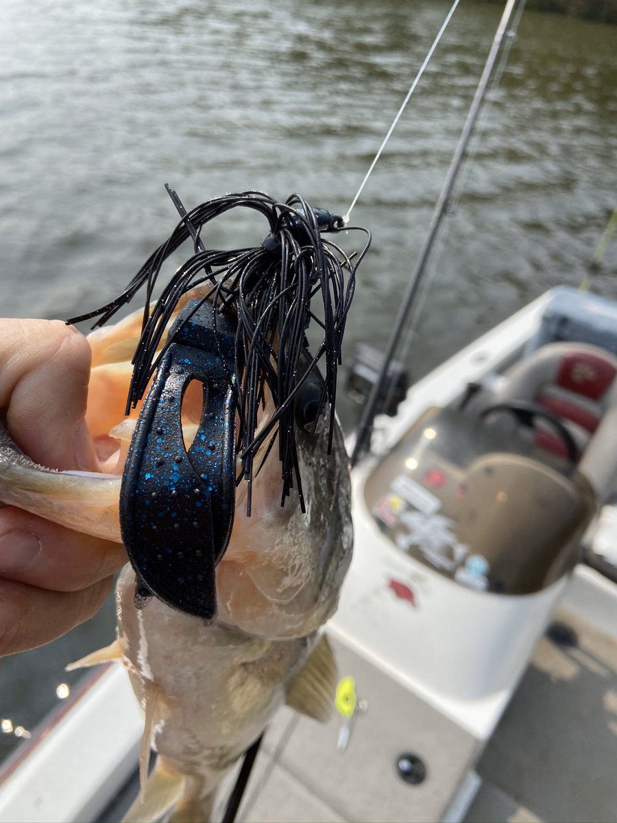 missourifishing's tweet photo. Having a fun day with my pal lake.  #denalirods #lews #lewsfishing #atomictacklecompany #jigfishing #woopigsooie #bumblebeeboats #minnkotafortrex #zekoshoes https://t.co/oJosYdX45r