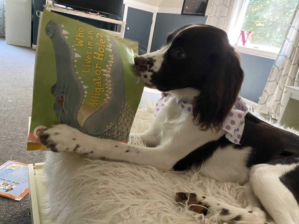 Adam Goldberg tweet media