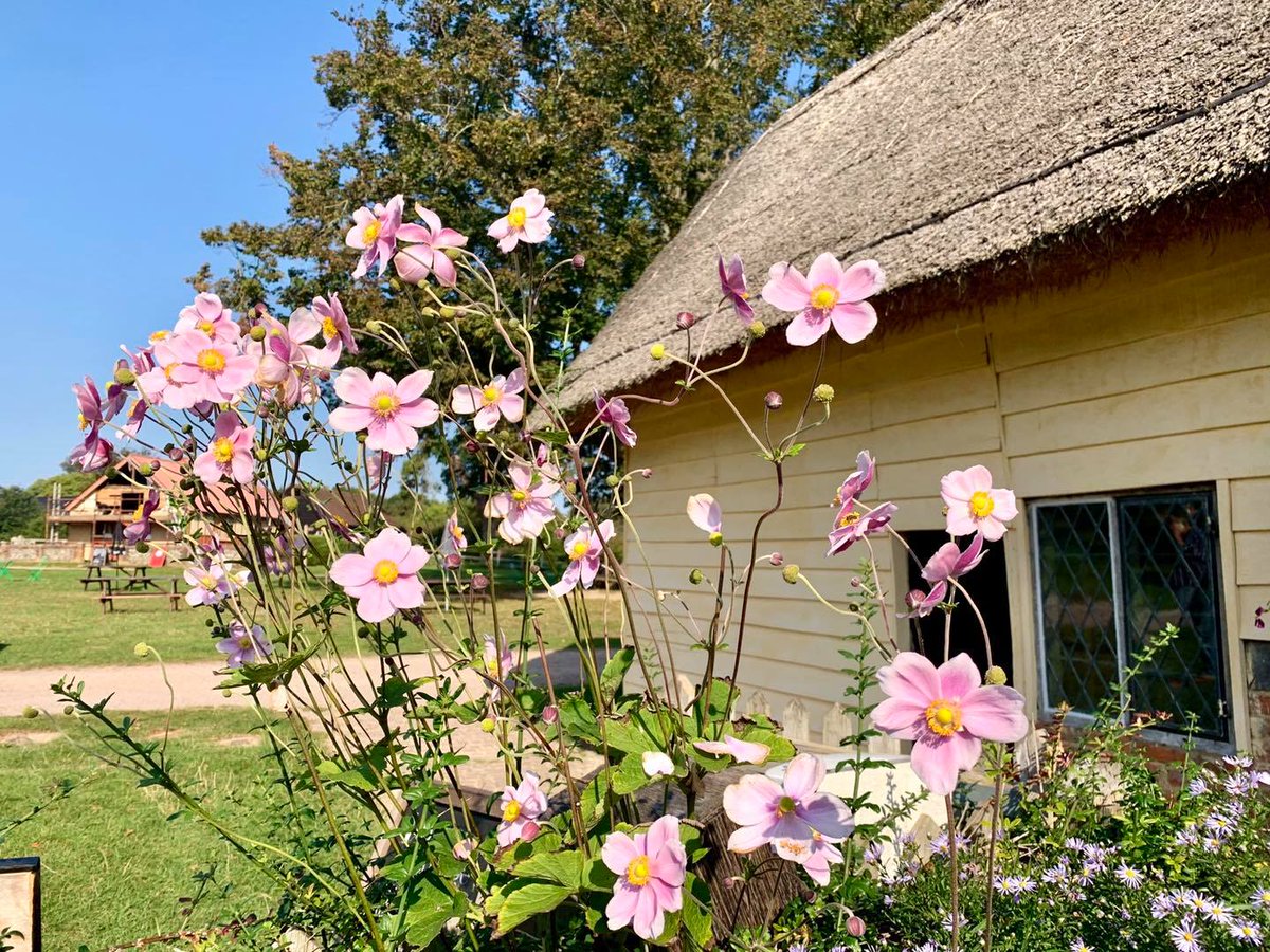 From now until the end of November our site is being used for filming. 

We'll remain open at weekends only and will be extending our open season until the 6th December.

During this period, some areas maybe dressed for filming and not as accessible as usual or at all.