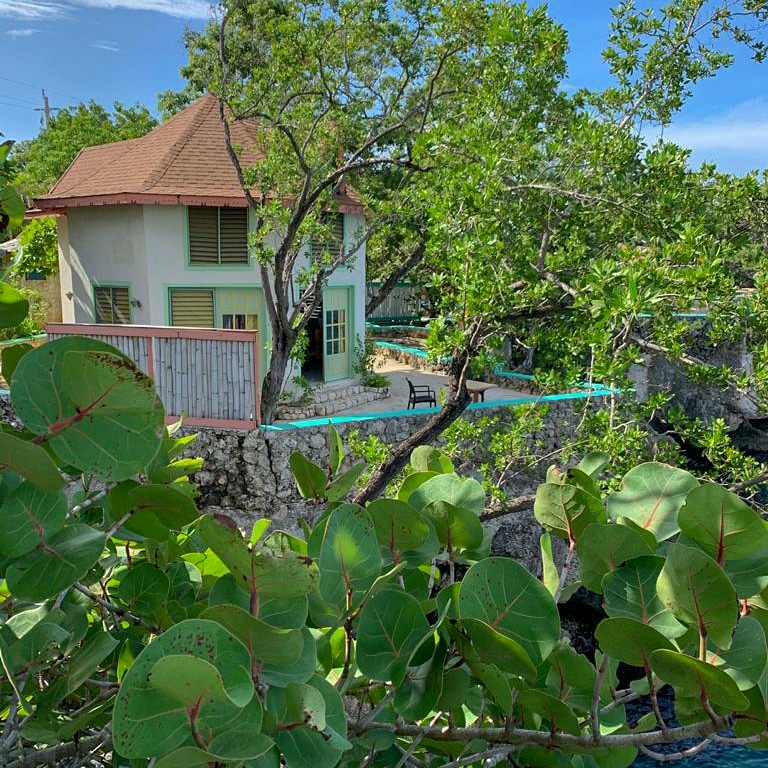 xtabiresort's tweet photo. Likkle cottage pon di rock overlooking the Caribbean Sea 💙
Would you like to wake up here? 
#xtabiresort #xtabi #xtabinegril #negriljamaica #negril #bucketlisttravel #placetovisit #places_wow #visitjamaica #heartbeatoftheworld #traveltribe #travelcommunity #cottagelife https://t.co/lycGJM49WQ