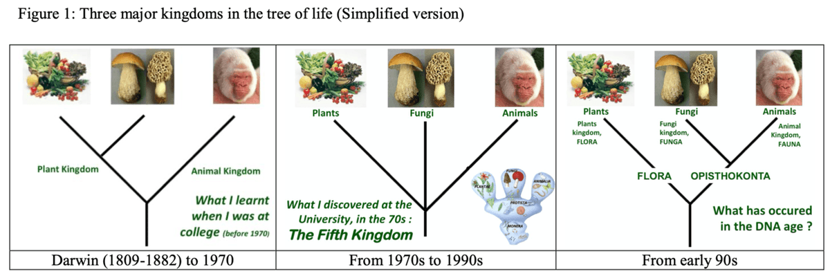The fungi form their own Kingdom, and they are closer related to animals  than plants. #FungalDiversity #FunDiS