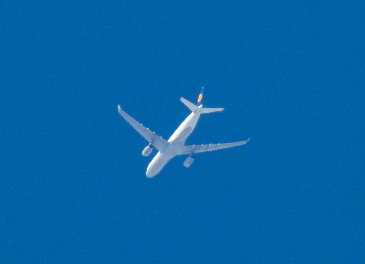 aviationathan's tweet photo. #Lufthansa #AirbusA330 D-AIKM as #LH470 from #Frankfurt to #Toronto 22nd September. #Airbus  #AvGeek #AvGeeks #PlaneSpotting #Aviation #potn https://t.co/wiSG1rud2T