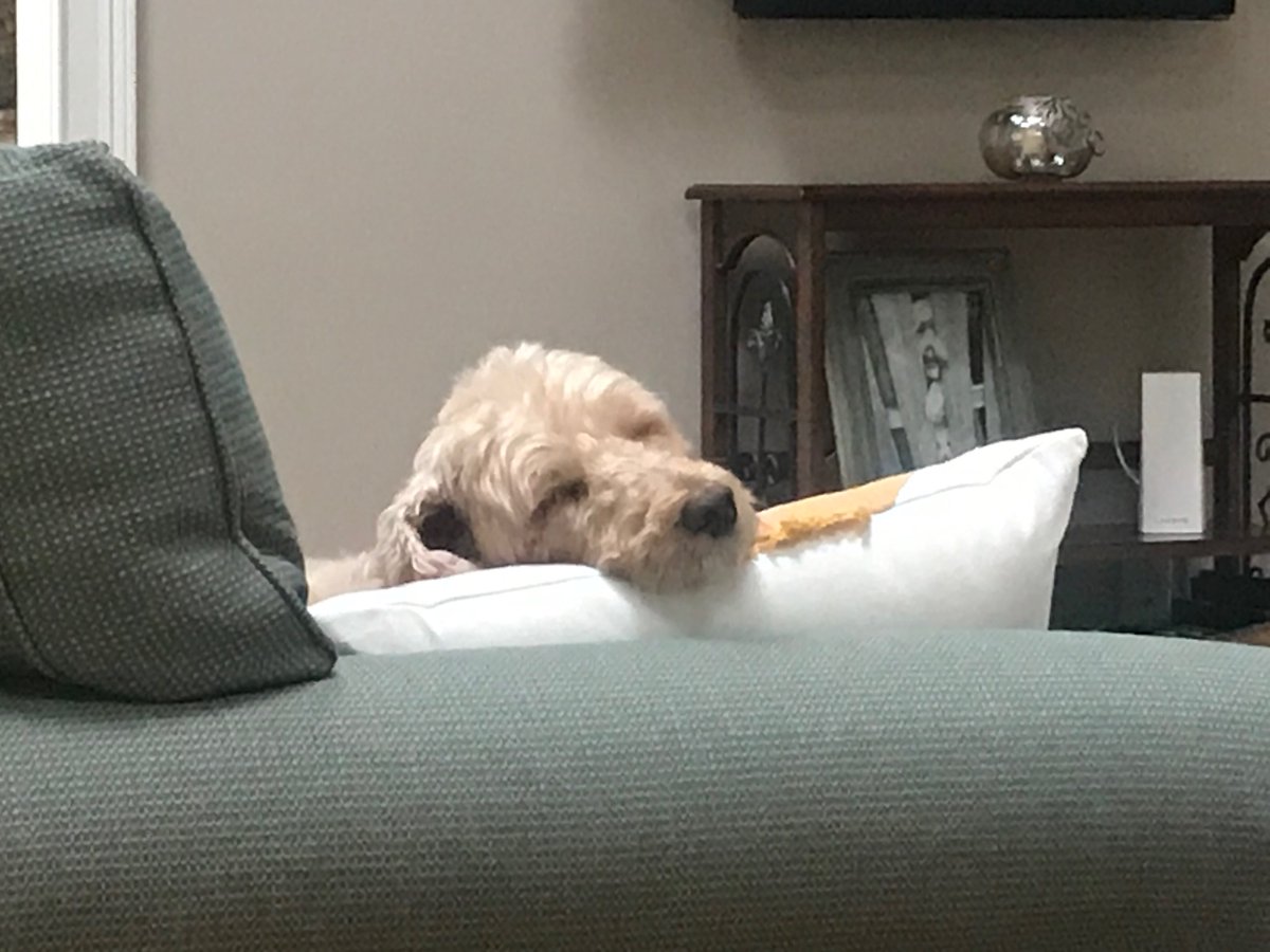 tlbird's tweet image. Damn 2020.