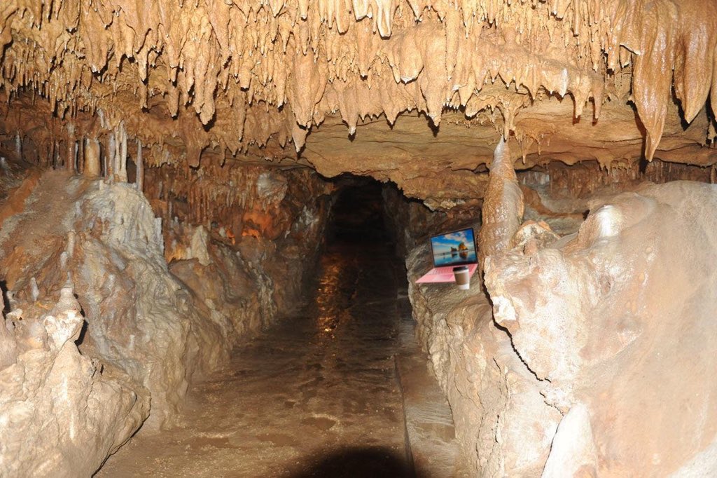 Rön Monstera ⚾️ (@ronmonstera) on Twitter photo 