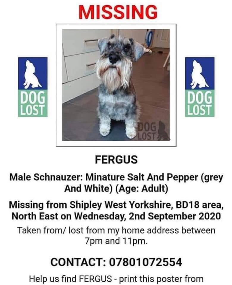 LisaLisaw1's tweet photo. Please RT ‼️ #FindFergus ‼️ UPDATED to #STOLEN 02.09.20 #missing from his home BD18 #Shipley #Bradford #WestYorkshire Salt/Pepper #MiniatureSchnauzer Owner is a #nhskeyworker 🌈 #SchnauzerGang
#findfergusschnauzer wearing collar with ID & microchipped Police & dog warden aware https://t.co/s5MmTgsnHV