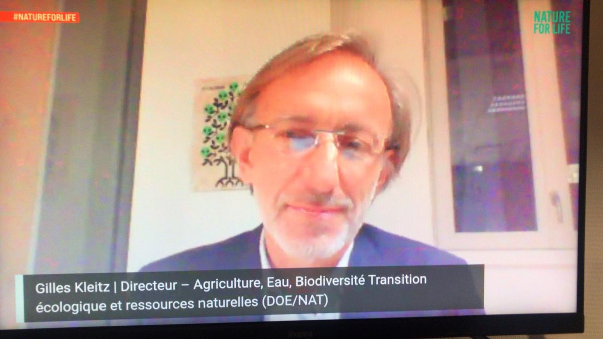 4Post2020BD's tweet photo. #NatureForLife Hub Live https://t.co/M4CLQTGFpe

"Nature is the life insurance system of humanity.
Nature should be investable and bankable."🌿🧬💹

- @gilleskleitz 

#ForNature #ForPeopleForPlanet #Biodiversity2020 https://t.co/INskdcWkGn