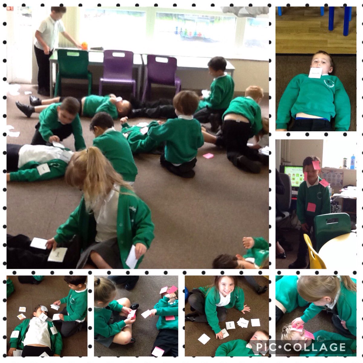 BGPrimary's tweet image. Y1 have been naming and labelling body parts. #BGPScience