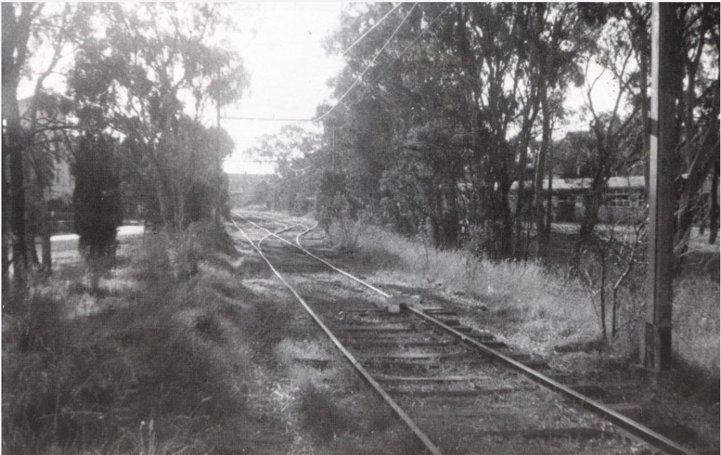 The Mont Park Branch Line (looking North) approaching Mont Park yard 1959 https://www.montparktospringthorpe.com/the-mont-park-rail-line-and-platform/There were three roads at Mont Park and a platform.