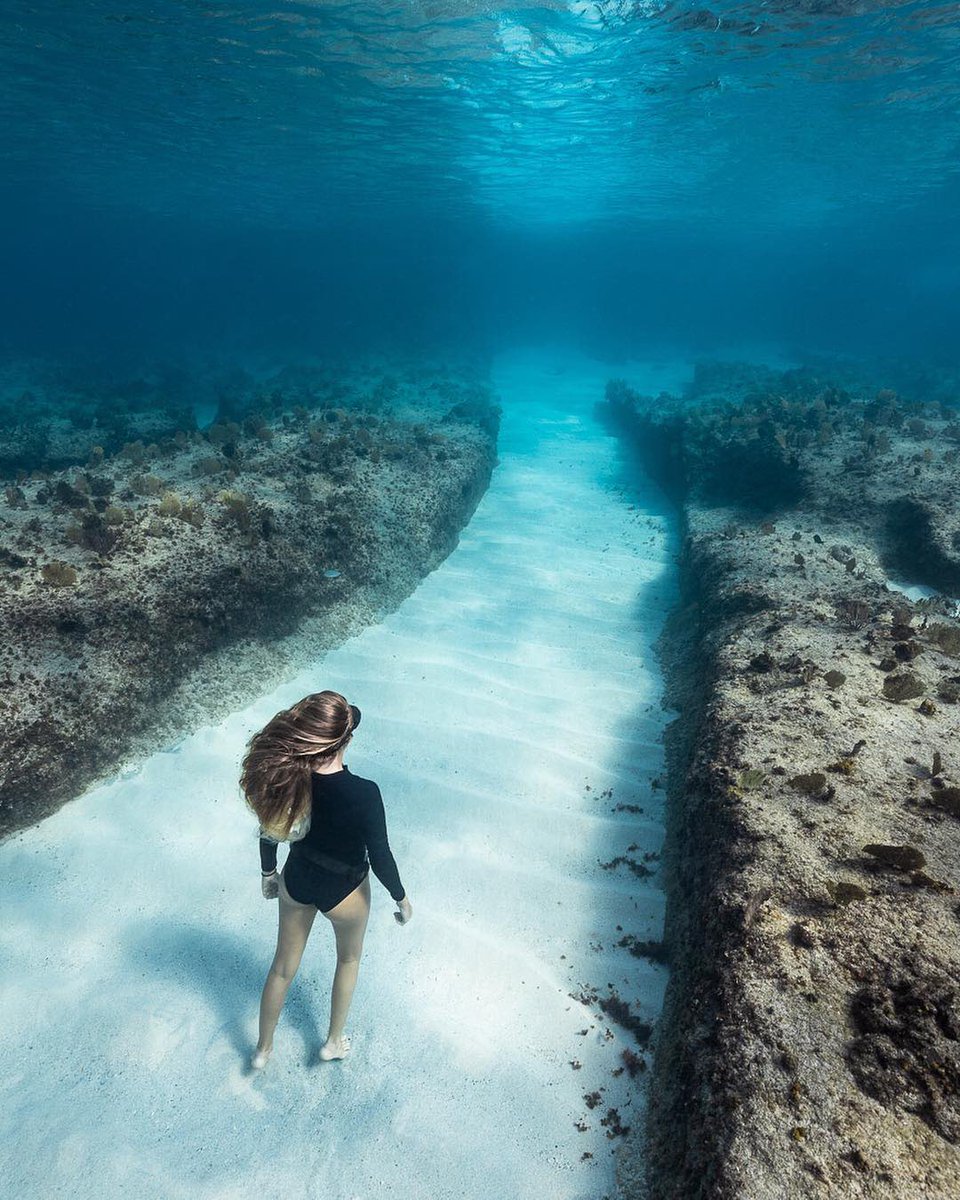 ecidyrue's tweet photo. Tweet from Earth (@earth) Earth (@earth) Tweeted:
Free diving in the Bahamas. https://t.co/LX8oTR7vyZ https://t.co/TW8gsCJccL