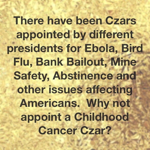 #ChildhoodCancerAwareness 
#AppointAChildlifeCancerCzar
#Cure
#MoreThan4