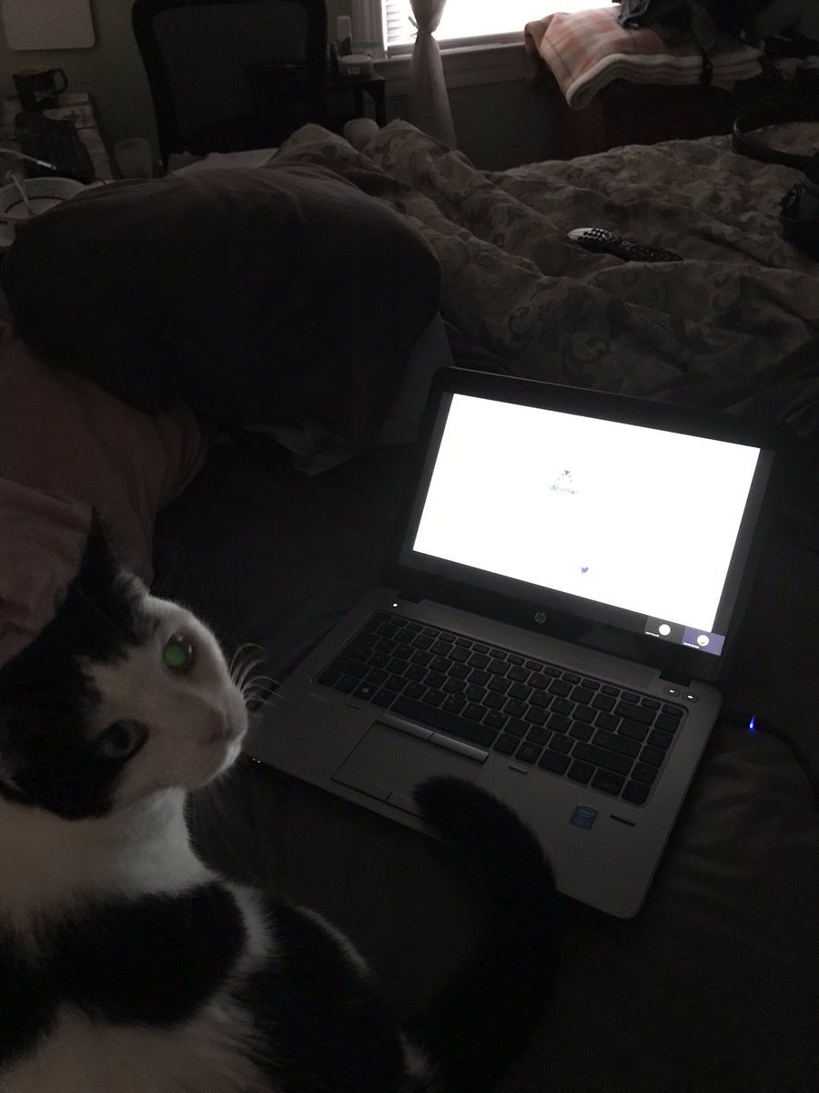 Tracie Below tweet media