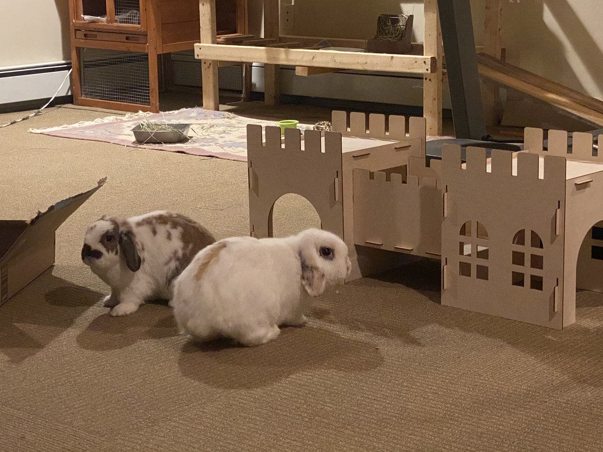 They got a castle and are cautiously investigating