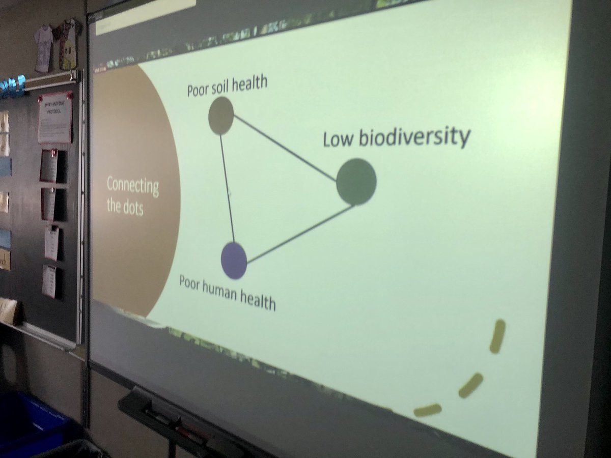 Ms_Sovereign5's tweet photo. After exploring our school’s #backyardbio🕷Ss got a chance to ask questions and learn from an expert! James from @DukeLemurCenter connected the dots between the health of soil systems and the preservation of biodiversity! Students loved it! Thanks @EBTSOYP 😊@wfwolvestvdsb https://t.co/ZU5E5FHN5W
