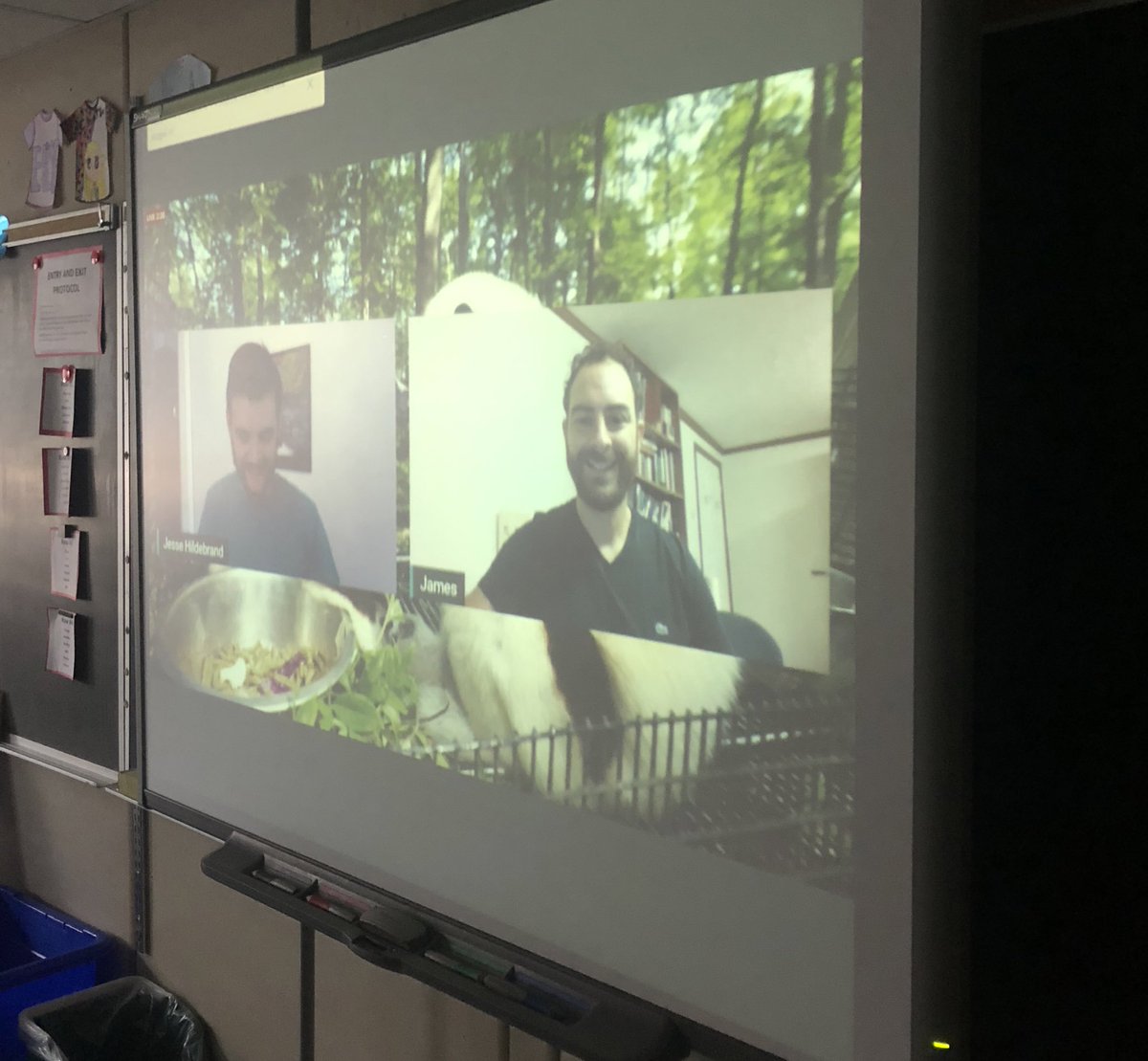 Ms_Sovereign5's tweet photo. After exploring our school’s #backyardbio🕷Ss got a chance to ask questions and learn from an expert! James from @DukeLemurCenter connected the dots between the health of soil systems and the preservation of biodiversity! Students loved it! Thanks @EBTSOYP 😊@wfwolvestvdsb https://t.co/ZU5E5FHN5W