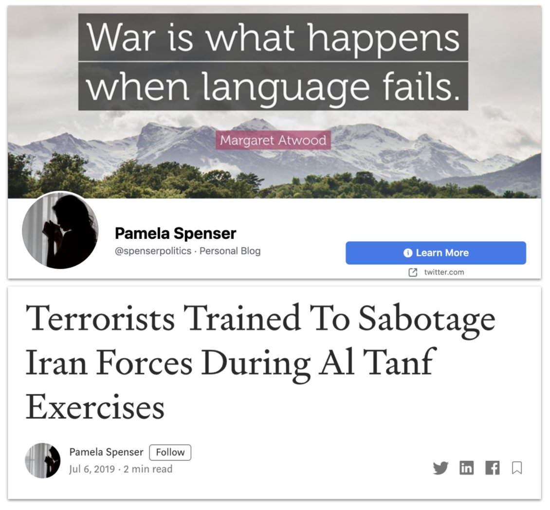 This was an interesting one. Pamela Spenser, until recently on Facebook, Medium and Twitter. The persona wrote a lot about Syria, from a very pro-Russian stance. Personally, she reminds me of Alice Donovan.