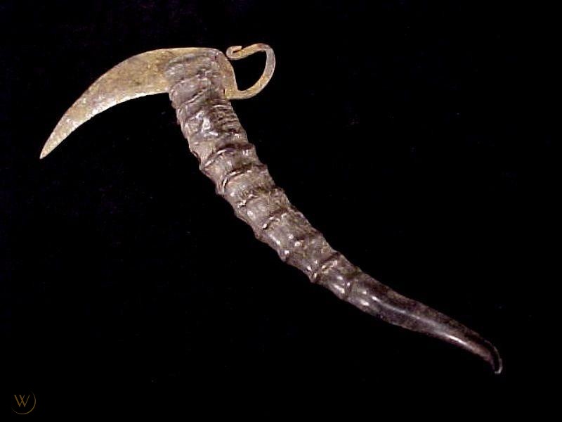 This amazing looking thing is an old traditional opium poppy bulb scaring sickle knife with a goat horn handle from Central Asia...Amazing looking thing...