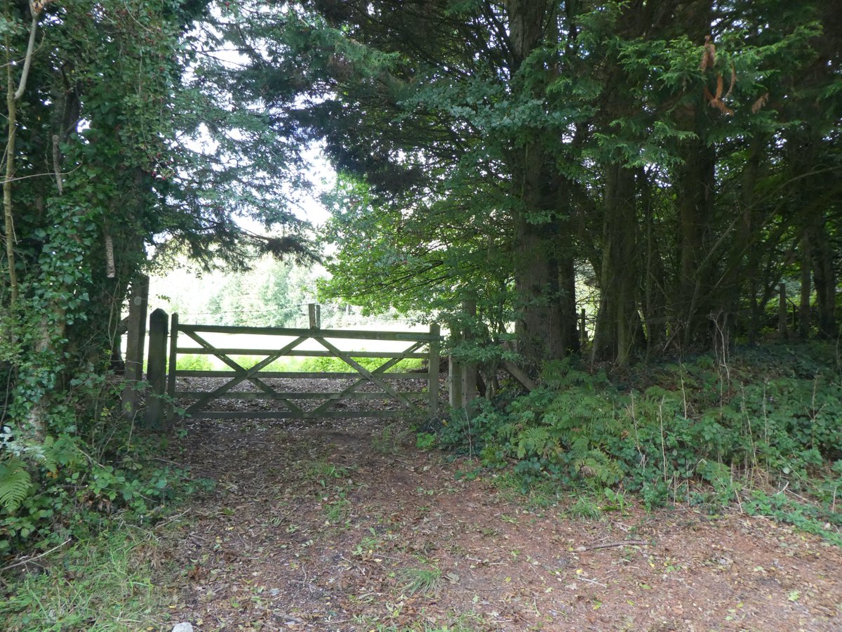 2DogsAwning's tweet photo. More picture from day 268 of my #Walk2020Miles challenge supporting @TrussellTrust 10 miles from Wyndham Farm CL this afternoon to Zeals, Penselwood &amp; Bourton #StopUkHunger #DorsetWalks #BootsOnMiles @candmclub #CLSites https://t.co/6YaySwdKPW
