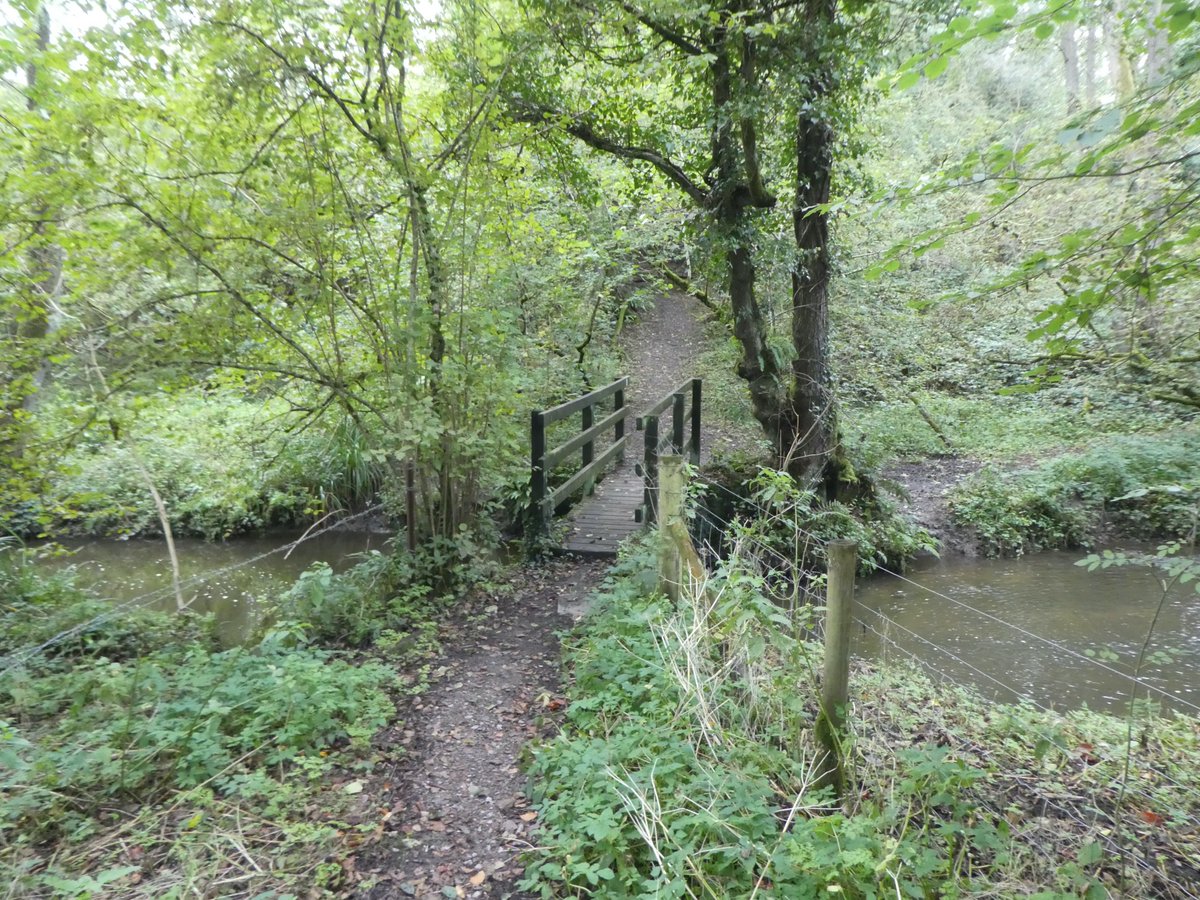 2DogsAwning's tweet photo. More picture from day 268 of my #Walk2020Miles challenge supporting @TrussellTrust 10 miles from Wyndham Farm CL this afternoon to Zeals, Penselwood &amp; Bourton #StopUkHunger #DorsetWalks #BootsOnMiles @candmclub #CLSites https://t.co/6YaySwdKPW