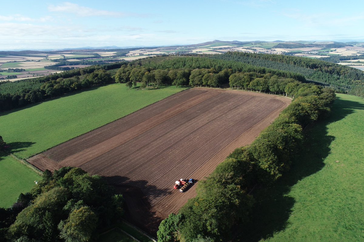 AgricoUK tweet media