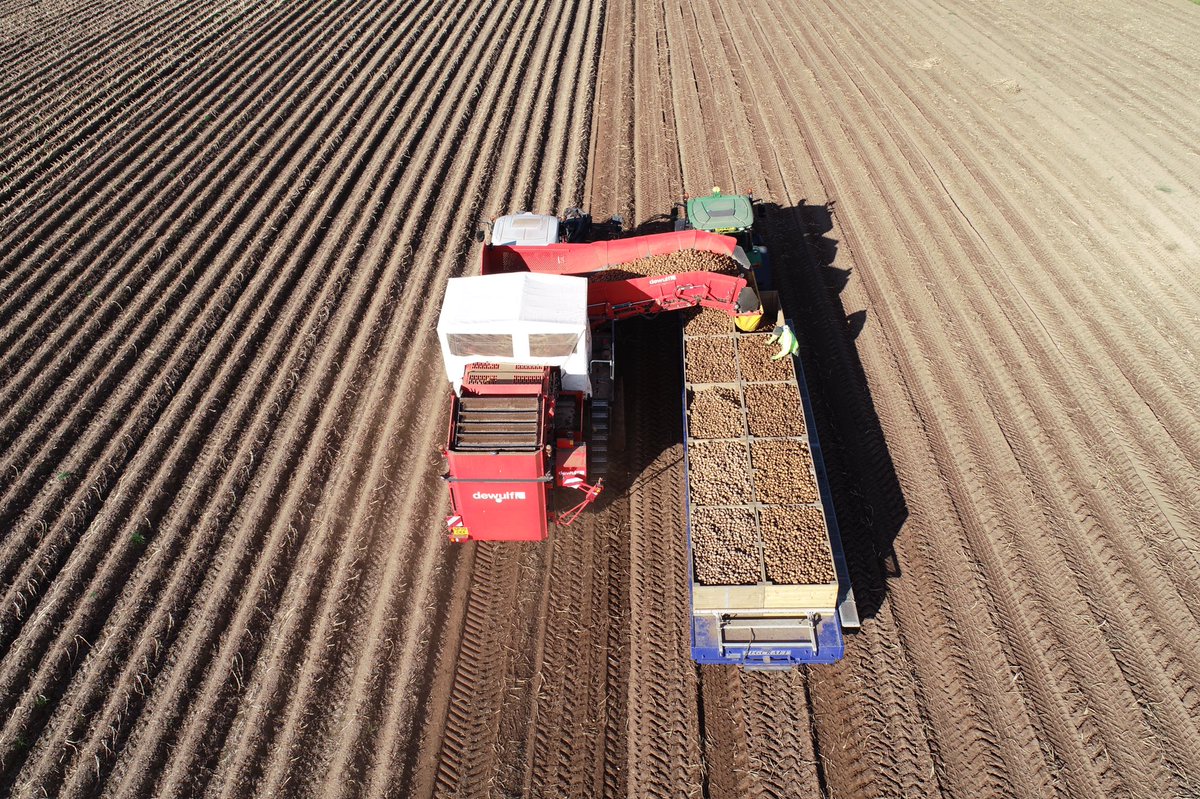 AgricoUK tweet media