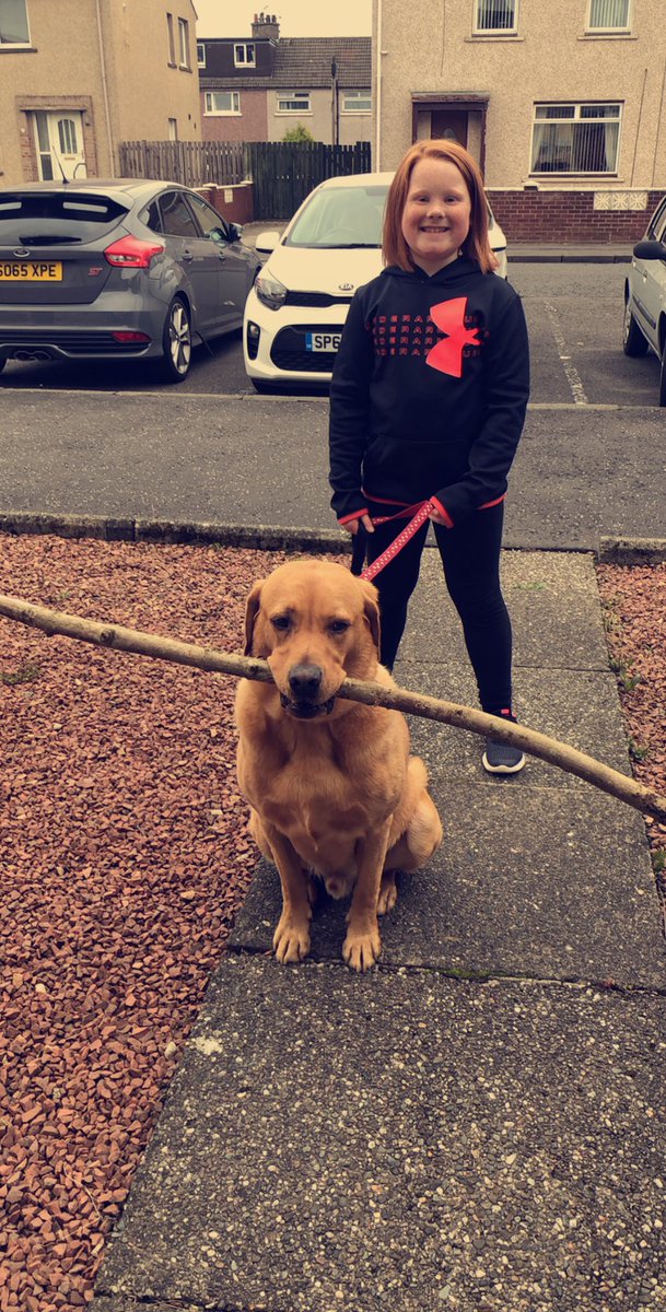 suzannemcphee's tweet photo. Zoe McInnes P4 home learning helping to walk the family dog 🐕 @BainsfordPS https://t.co/DTrl5arCSY