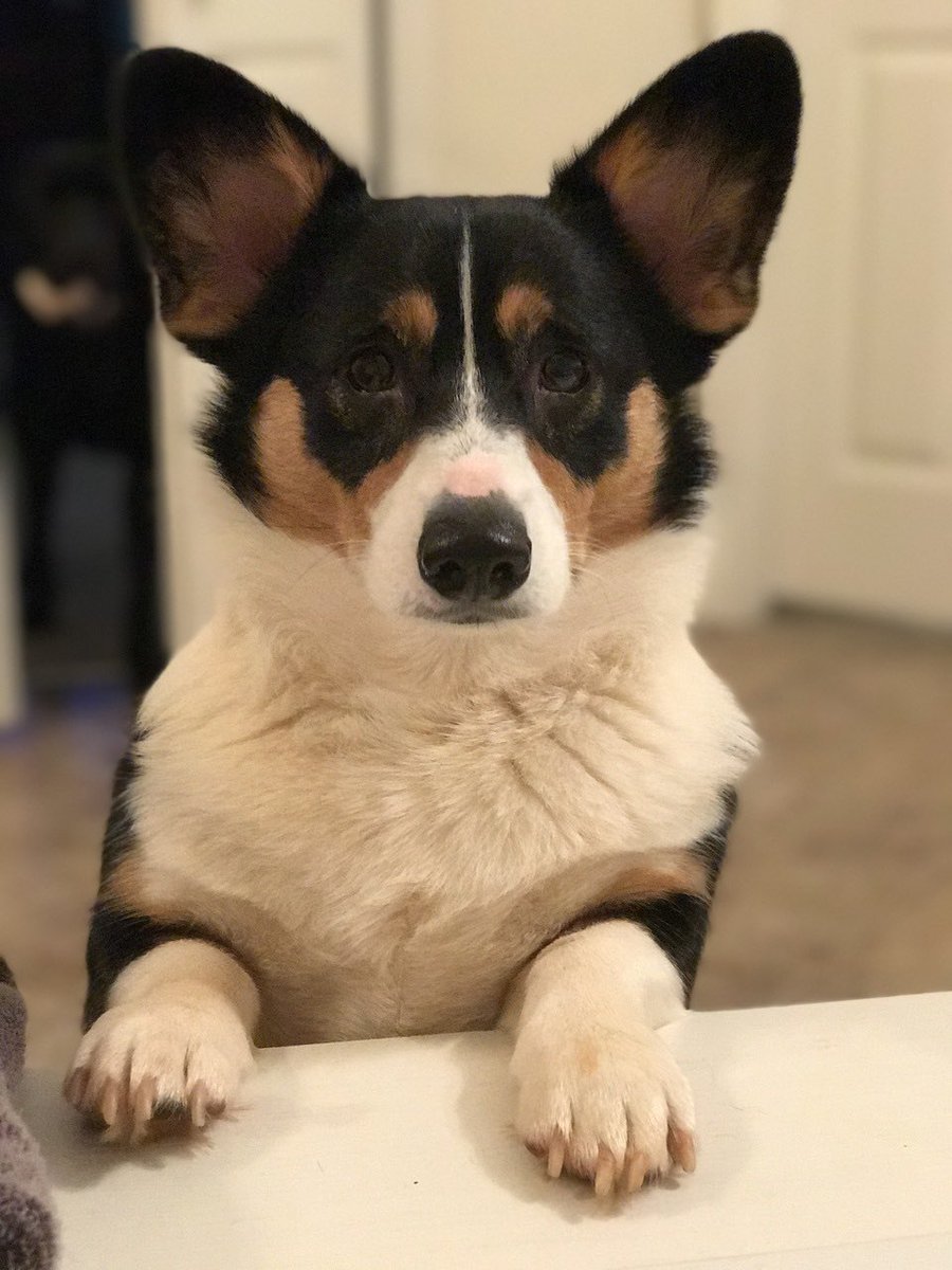 Angela Flannery, PMP tweet media