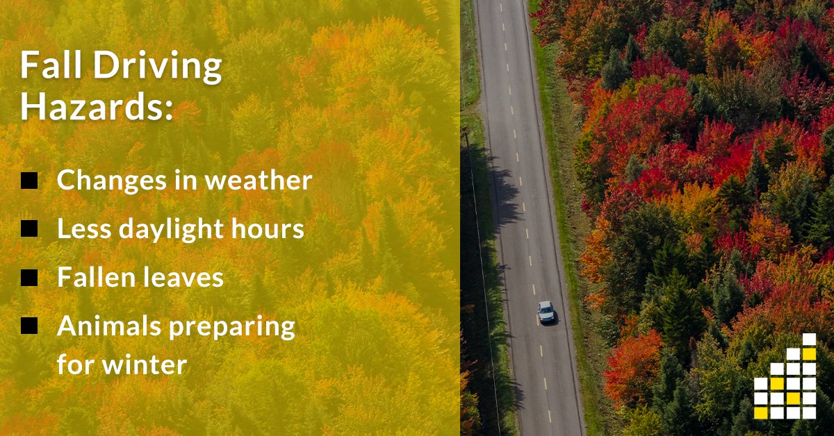 OmahaInjury's tweet image. While winter is typically the most dangerous driving season, fall presents its own unique hazards:

#falldriving #safetytips