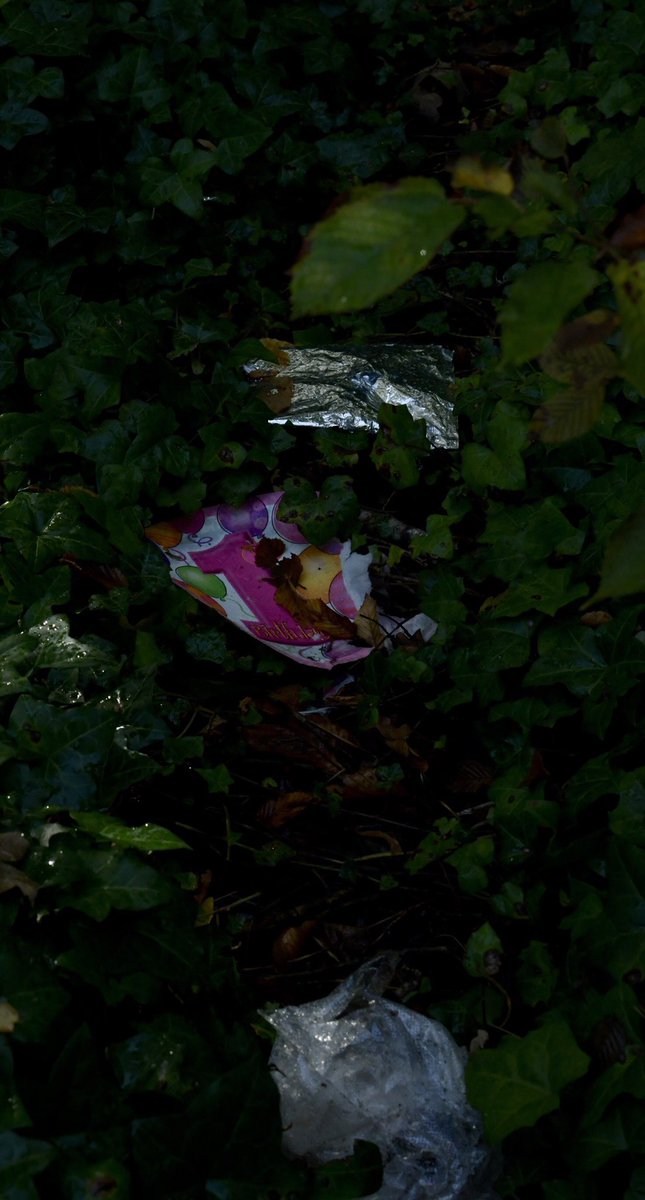 CoLEppingForest's tweet photo. 2/2 We visited the Eagle Pond area. It was sad to see litter from a child’s 1st Birthday picnic strewn all over the woodland floor, but rewarding to return it to how it should be.
Please help us to care for #EppingForest. Take your litter home with you. Thank you. #TreesNotTrash https://t.co/kzbiEaPzGq