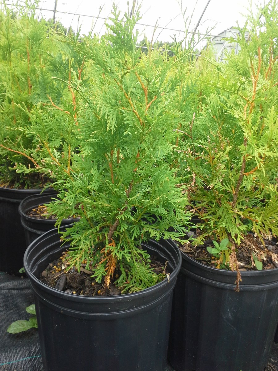 Ferguson Forest Centre on #Google local.google.com/place?id=13605…