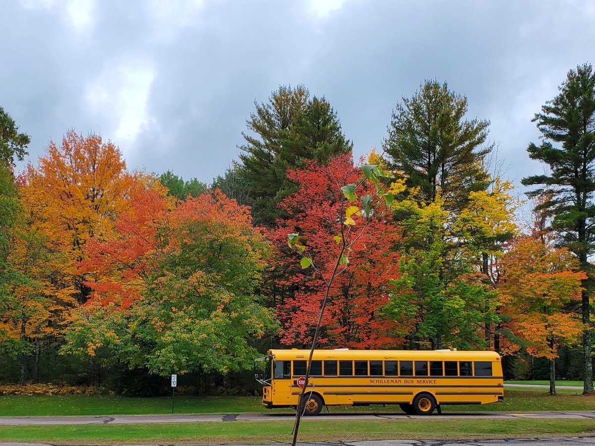 Mark Deditz tweet media