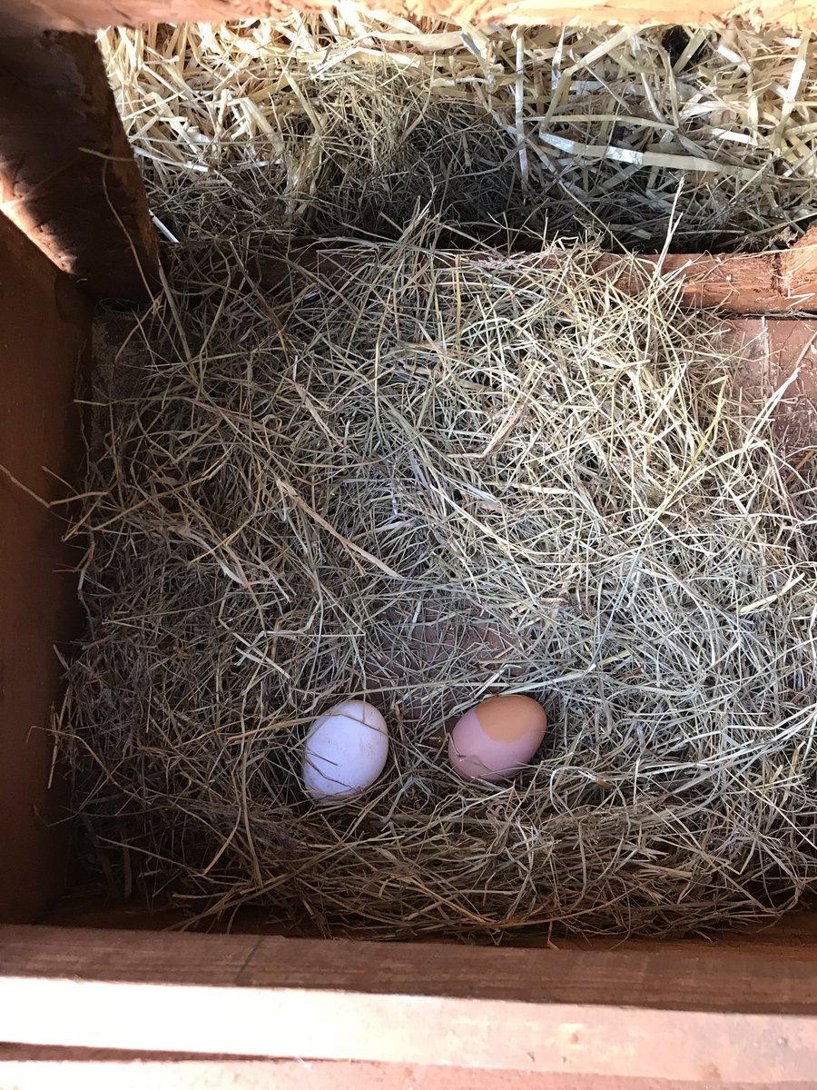 🏴Sionyn🏴 tweet media