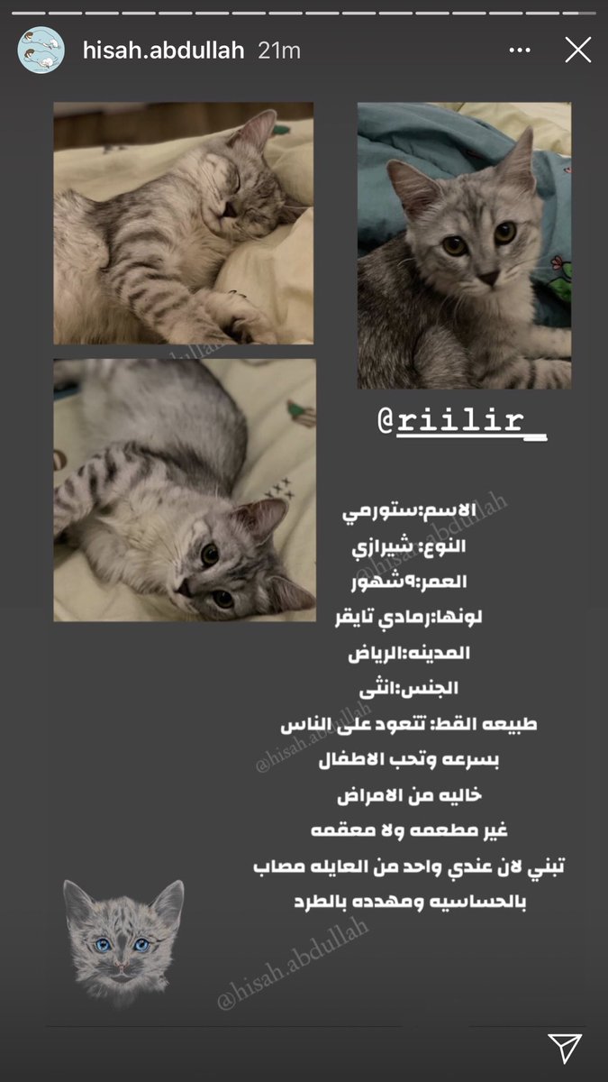 <a href="/CatCat_120/">عاجل انقاذ قطط</a>