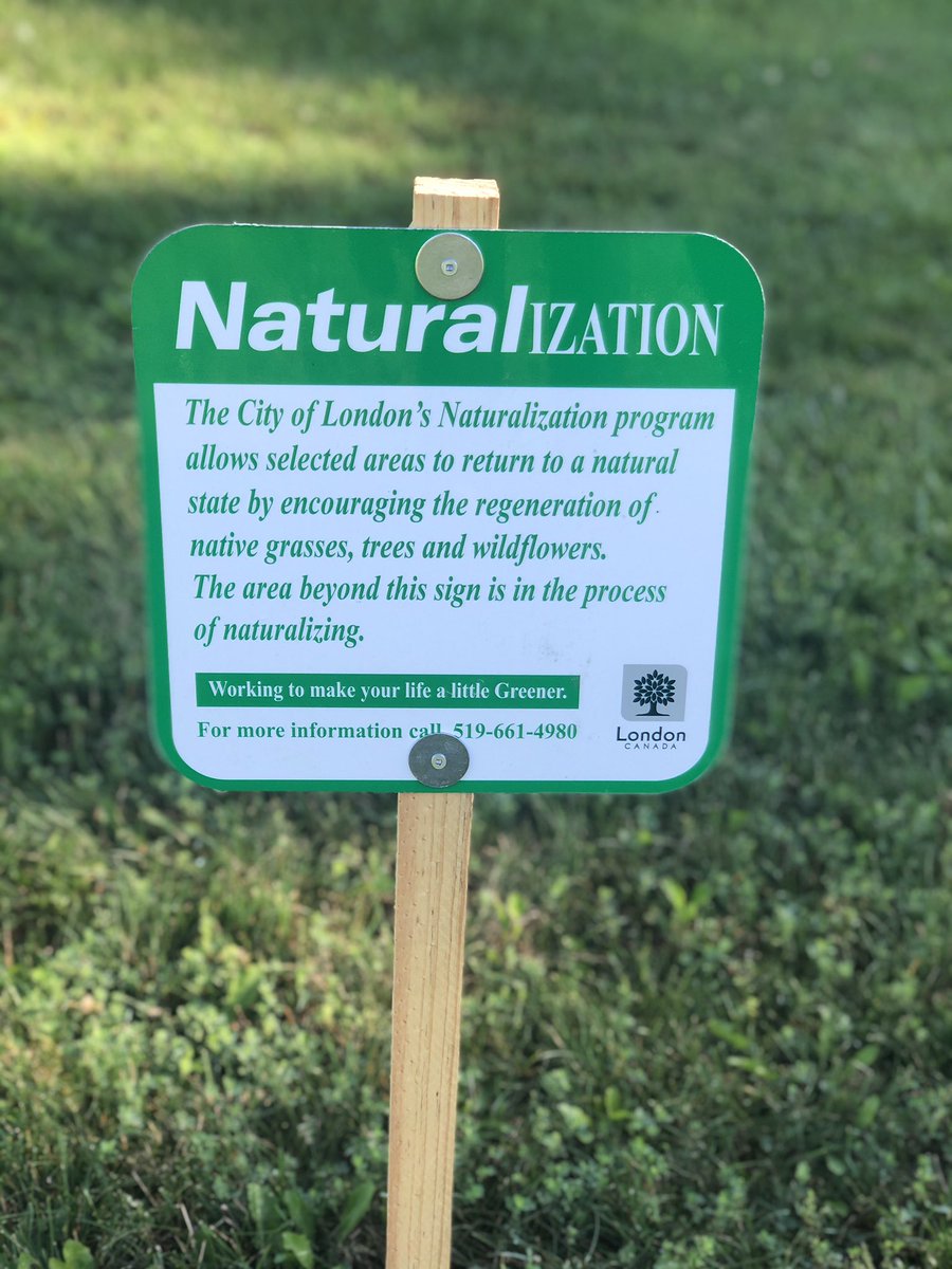 LifeUnpackaged's tweet photo. I was so happy to see this at Southwest Optimist Park but now the signs are gone and the grass is cut as before.  @CityofLdnOnt what happened? Naturalization was short lived, not even two weeks😢 https://t.co/Ocbrqmotk2