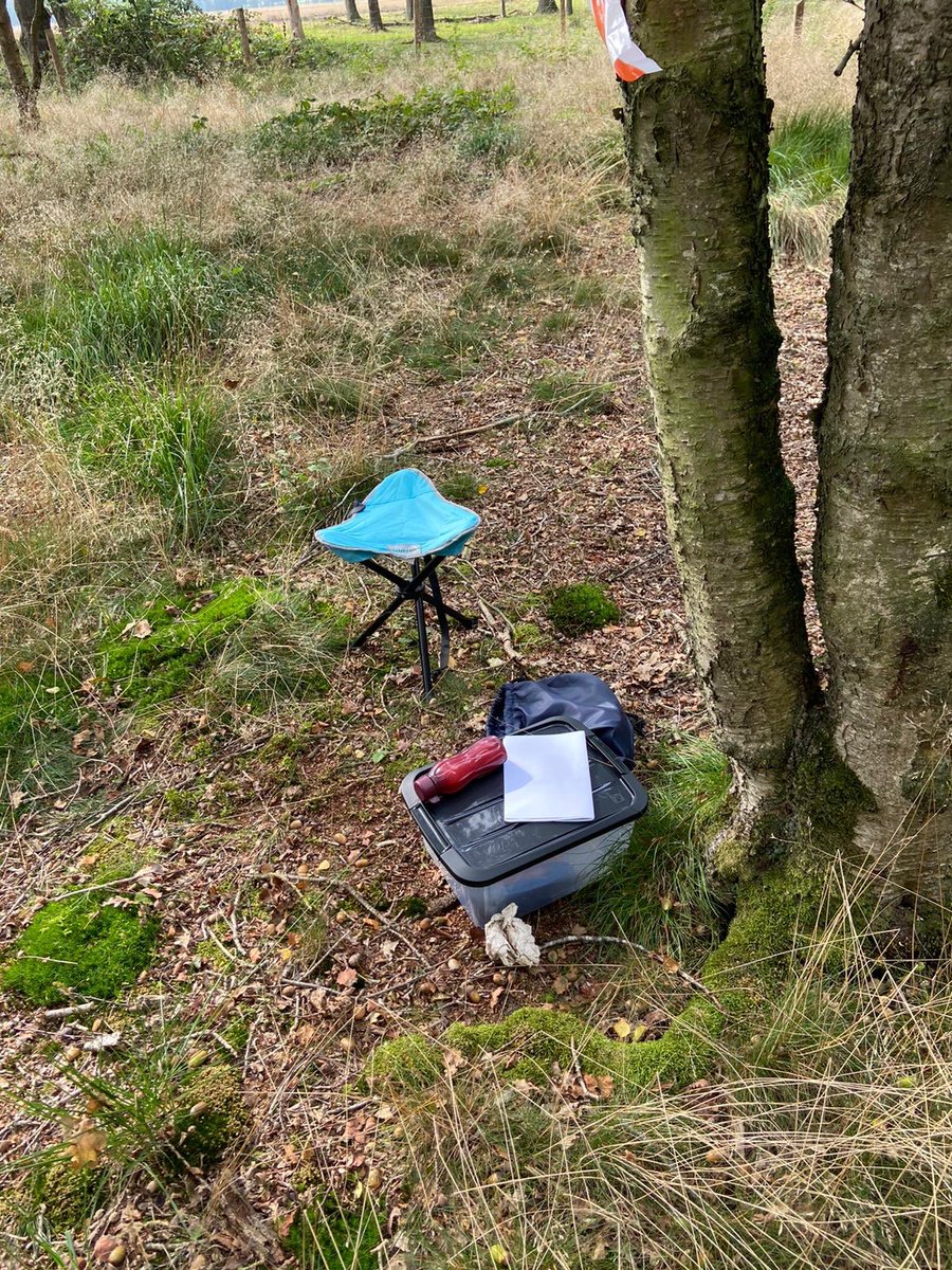 Samen de verandering in gang zetten, stappen zetten voor Ambion 2.0. Uitdagende opdrachten in de bossen van Bakkeveen. Het aangename met het nuttige verenigen. #tweedaagse #samen #gemotiveerd #onderwijsvanmorgen <a href="/bakkeveen/">Bakkeveen Online</a>