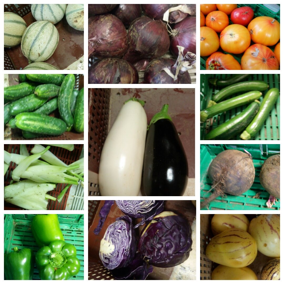 AmapRonceray's tweet photo. Cette semaine, c'est encore l'été dans nos paniers : melon, oignons, tomates, courgettes, aubergines, concombres, fenouil, betteraves, poivrons, chou rouge et poire-melon! https://t.co/ZHpmlW8lS9