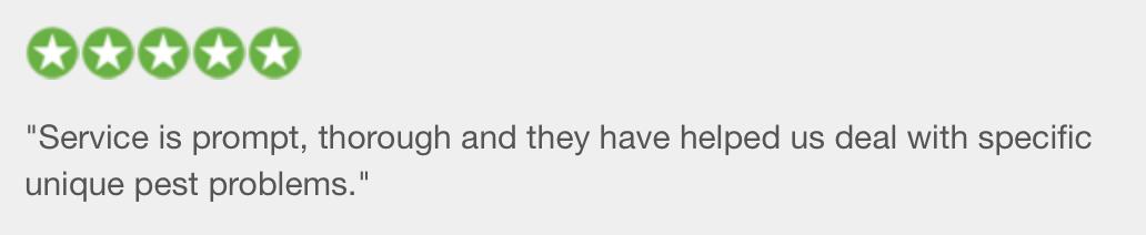 pestproservices tweet media