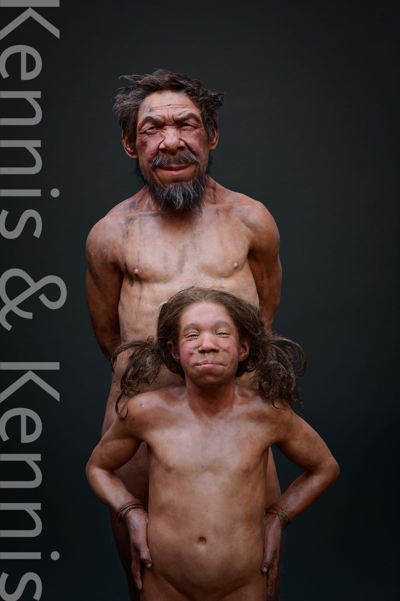 New neanderthal reconstructions for #museum of #nature #Ottawa #neanderthal #planetice #paleontology