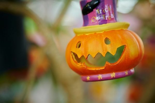 organizingmoms's tweet photo. How to Organize Your Halloween Decorations Once and For All https://t.co/SIRUmwEaxo https://t.co/X0YXIg5Wdv