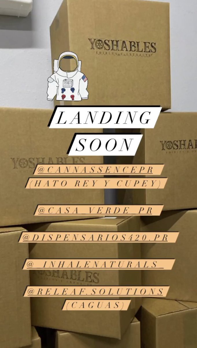 yoshables's tweet photo. Landing Soon 👨‍🚀 Restocked!! https://t.co/pNsL3d6EFq