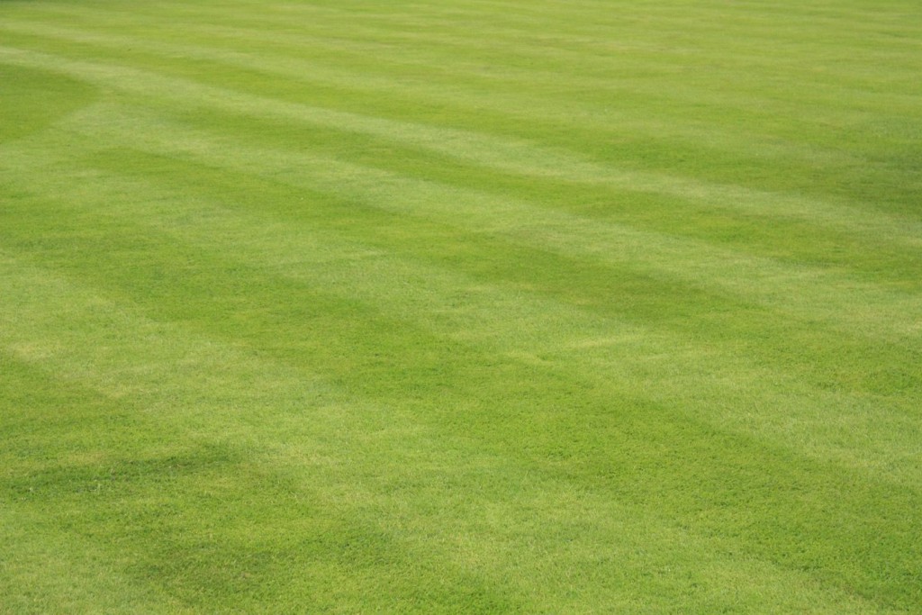 Lawn Mowing - gracegardening.co.uk/gardening-serv…