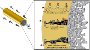 Three-phase hybrid facilitated transport hollow fiber membranes for enhanced CO2 separation (Deng, Norwegian University of Science and Technology) #Facilitatedtransport #CO2separation @NTNUnorway sciencedirect.com/science/articl…