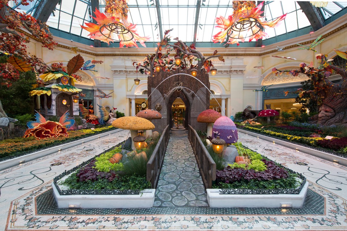 lvmonorail's tweet photo. Loving the new fall decor @Bellagio in the new "Into the Woods" display at the @Bellagio Conservatory! 🌳🦌🌲🐻🍄

@MGMResortsIntl @MGMGrand @parkmgm @MandalayBay @ExcaliburVegas @LuxorLV @NYNYVegas https://t.co/xfvcavmVxU