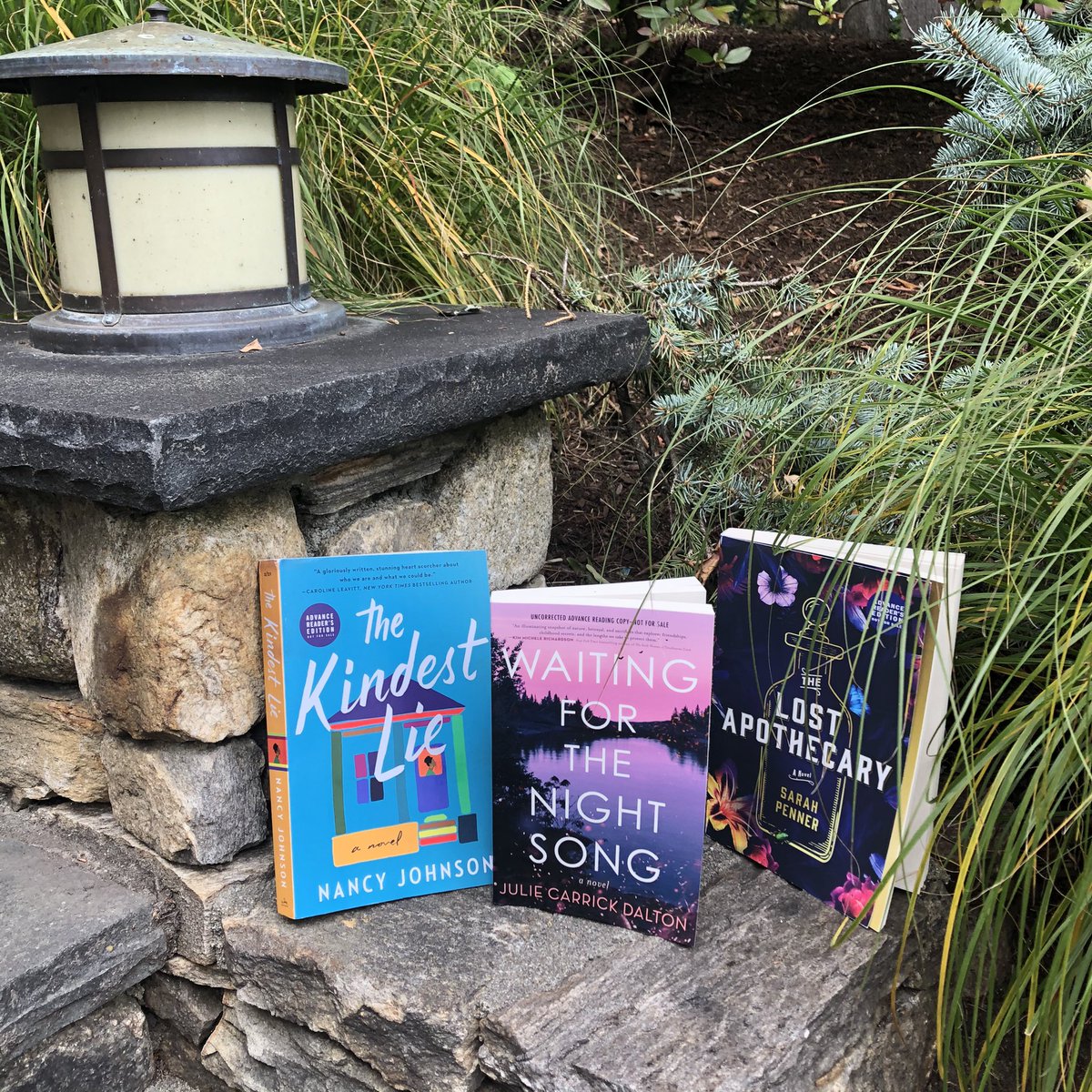 My book baby WAITING FOR THE NIGHT SONG hanging with friends on a sunny afternoon.  #thekindestlie #thelostapothecary #waitingforthenightsong #2021debuts #debutnovel