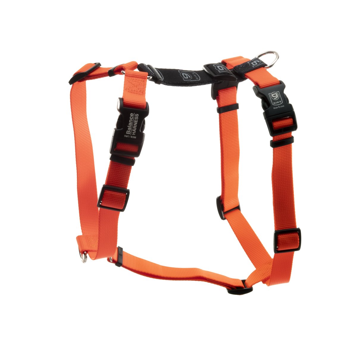Blue-9 Pet Products tweet media