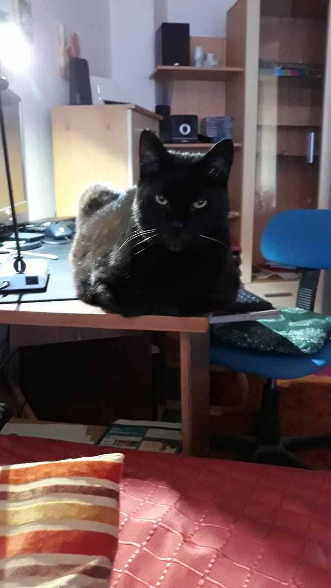 Wir wünschen eine gute Nacht.